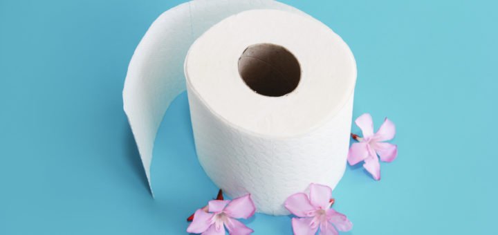 selbstauflösendes Toilettenpapier für Chemie-WC Camping-Toilette